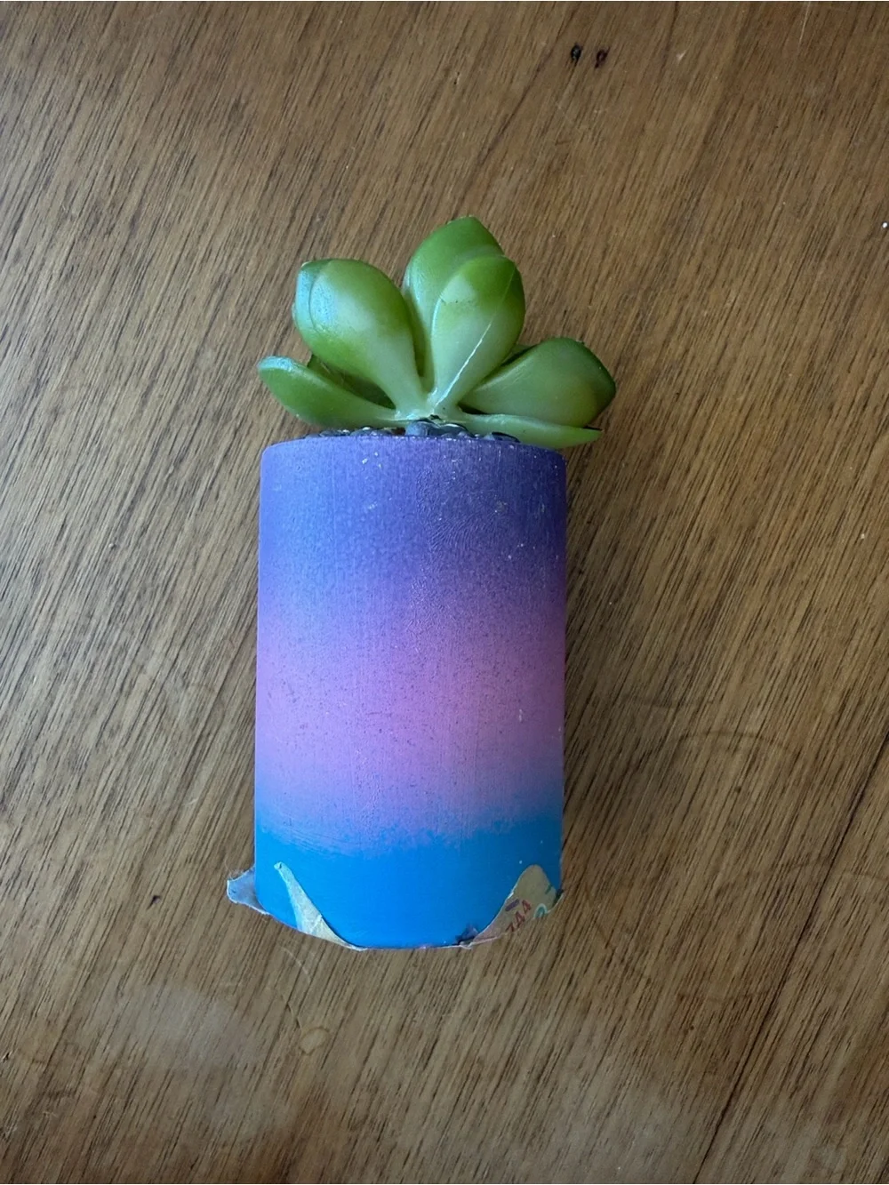 Hobby Lobby Gradient ombré Mini Succulent Planters